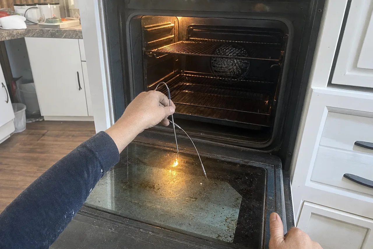 Mirrored view of a temperature probe suspended on the centre rack of an open, lit oven cavity